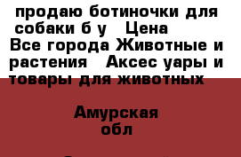 продаю ботиночки для собаки б/у › Цена ­ 600 - Все города Животные и растения » Аксесcуары и товары для животных   . Амурская обл.,Завитинский р-н